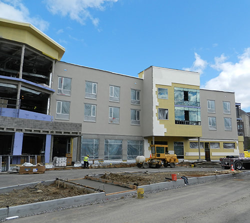 Wartburg Nursing Facility